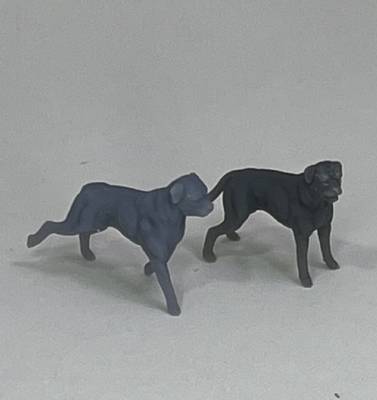 Rottweiler set #1 (2)